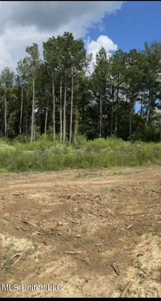 3 Acres of Land for Sale in Terry, Mississippi