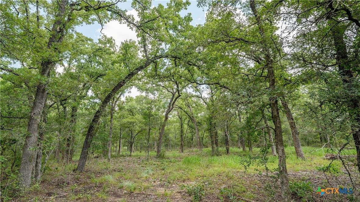 6 Acres of Residential Land for Sale in Buckholts, Texas