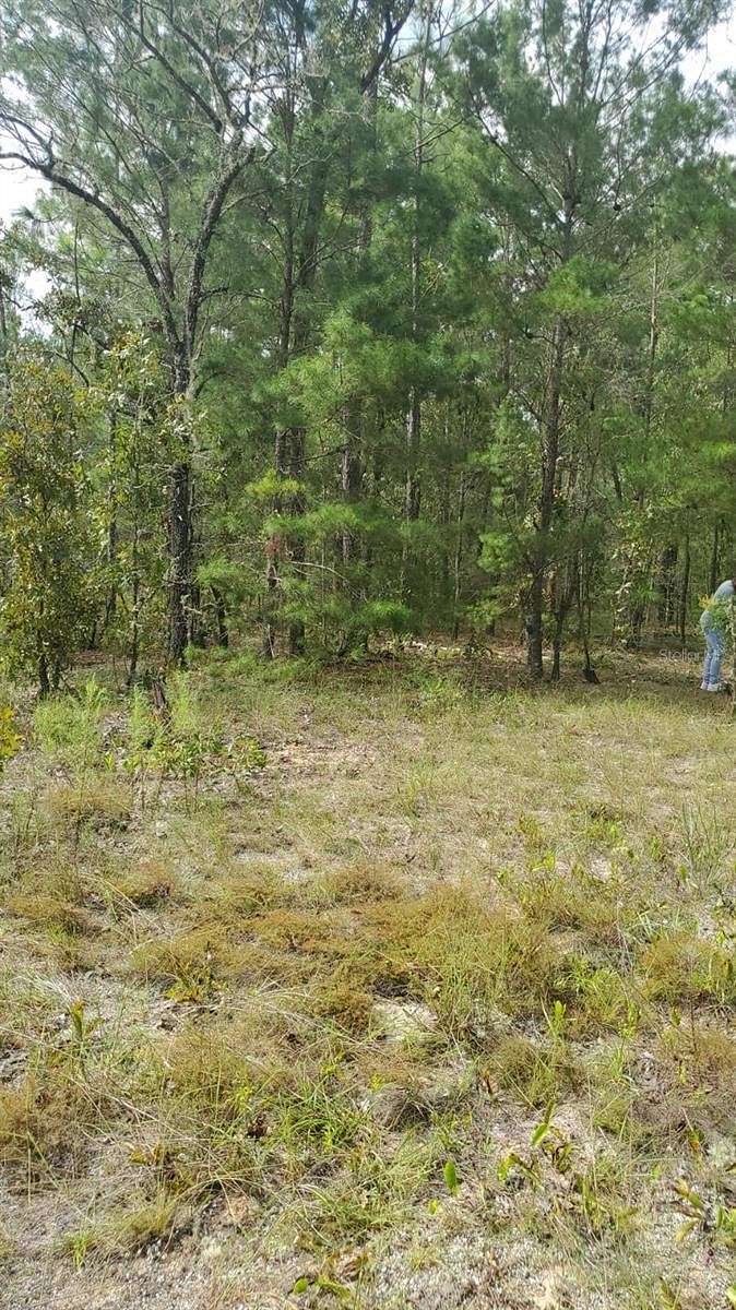 0.21 Acres of Land for Sale in Interlachen, Florida