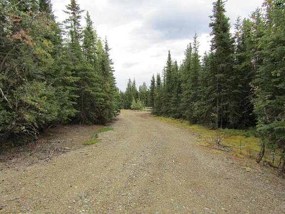 1.1 Acres of Residential Land for Sale in Delta Junction, Alaska