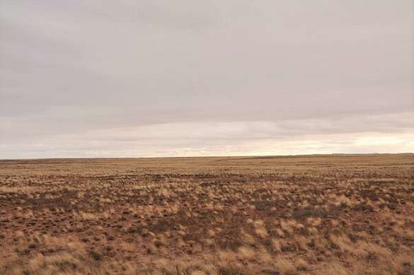 1.3 Acres of Land for Sale in Holbrook, Arizona