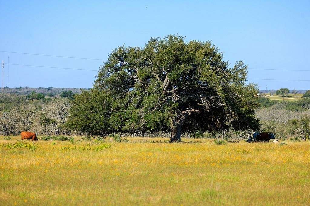 25 Acres of Agricultural Land for Sale in Harper, Texas