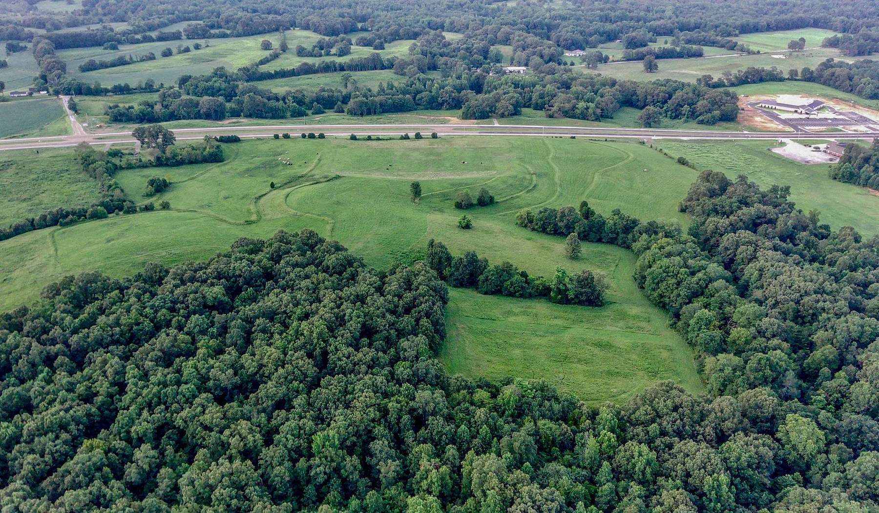 78 Acres of Agricultural Land for Sale in Lexington, Tennessee