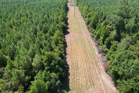 164 Acres of Recreational Land & Farm for Sale in New Hebron, Mississippi