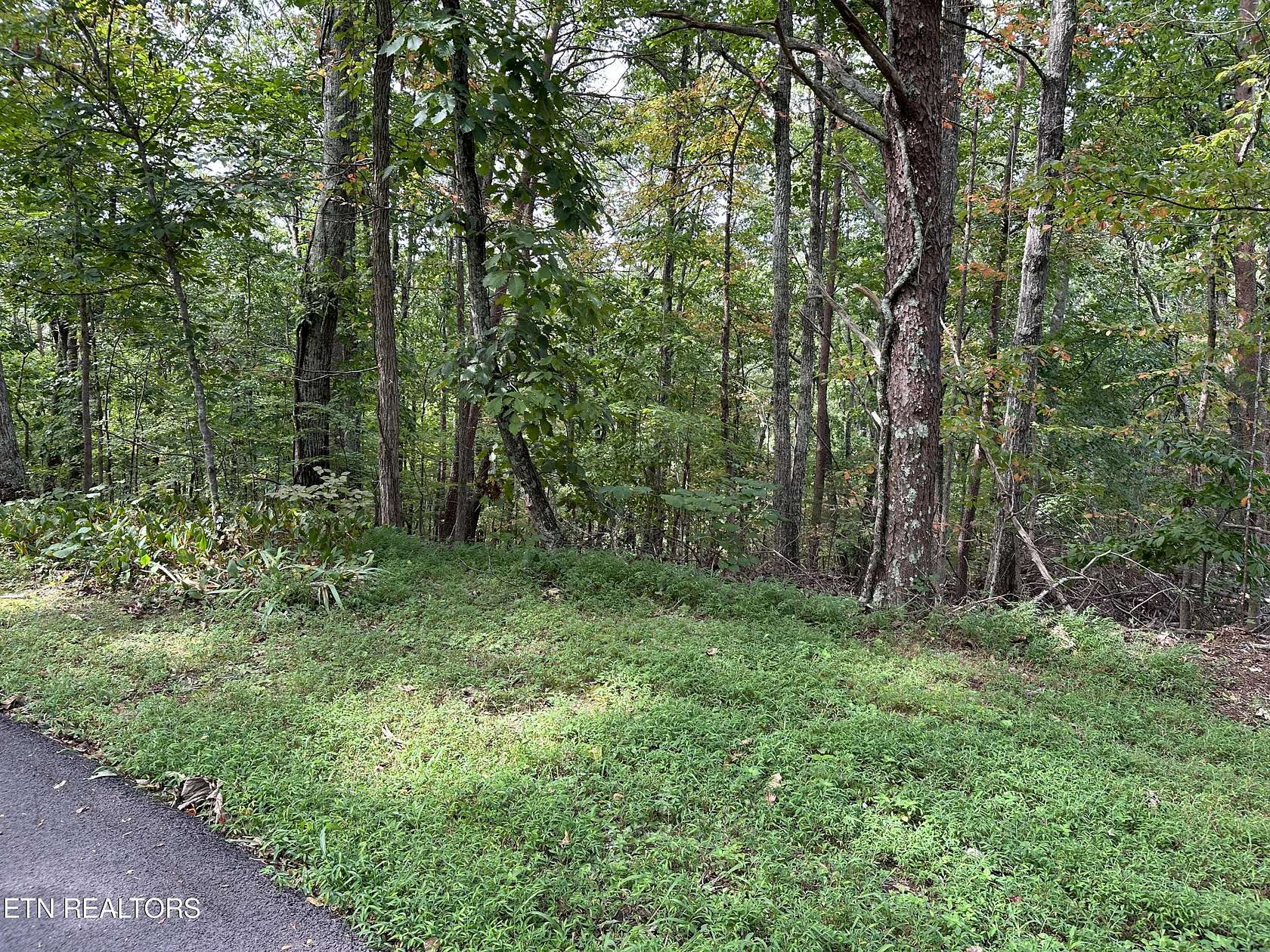 3.7 Acres of Residential Land for Sale in Seymour, Tennessee