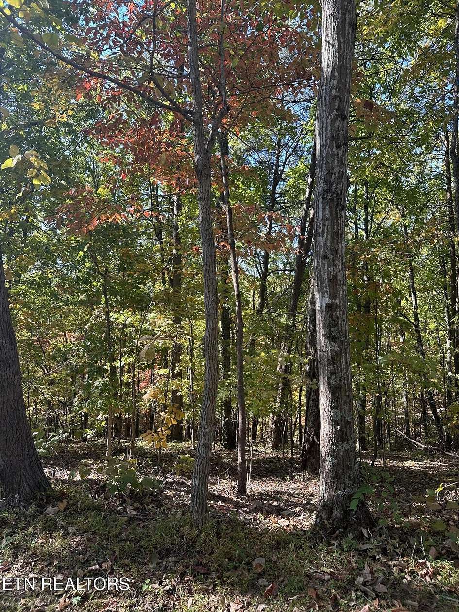 3.73 Acres of Residential Land for Sale in Seymour, Tennessee