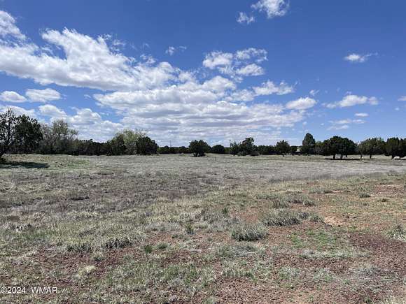 0.68 Acres of Residential Land for Sale in Concho, Arizona