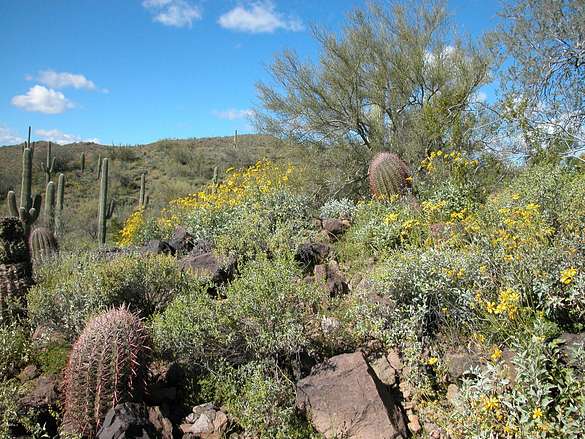 60 Acres of Land for Sale in Peoria, Arizona
