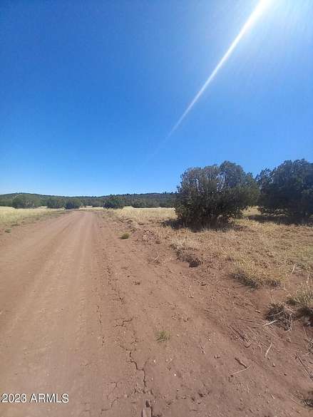 40.5 Acres of Recreational Land for Sale in Show Low, Arizona