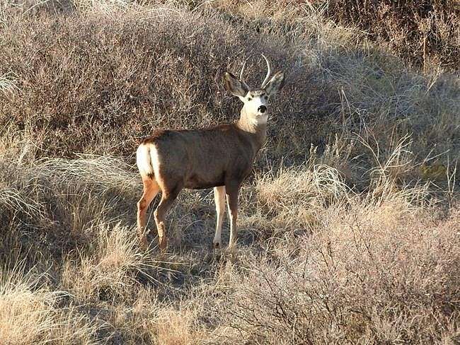 40 Acres of Recreational Land & Farm for Sale in Stigler, Oklahoma