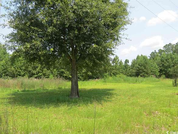 1.4 Acres of Residential Land for Sale in Hemingway, South Carolina