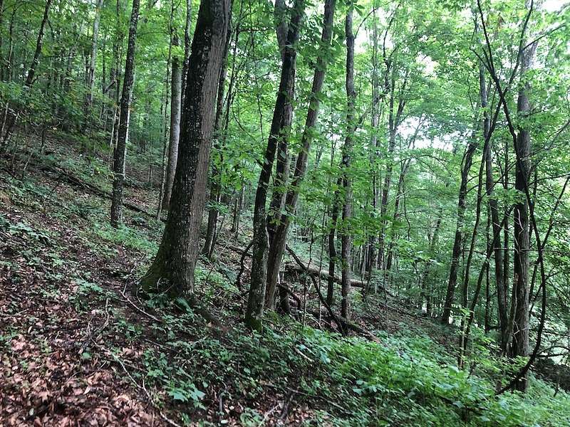3 Acres of Land for Sale in Saltville, Virginia