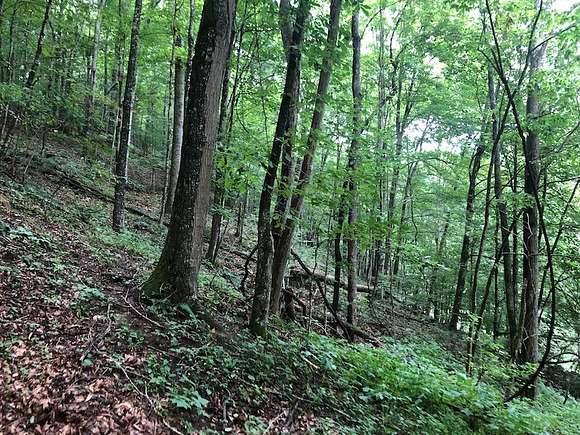 3 Acres of Land for Sale in Saltville, Virginia