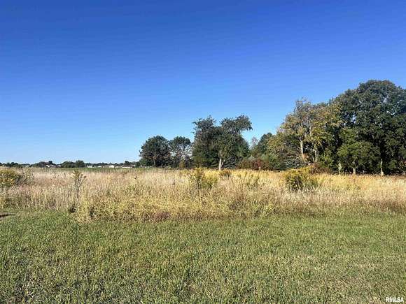 0.33 Acres of Residential Land for Sale in Metamora, Illinois