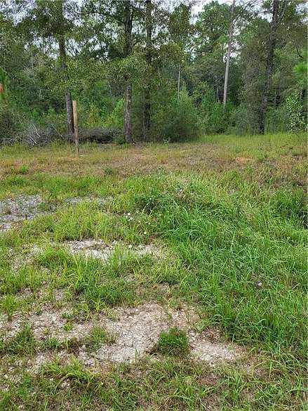 1.5 Acres of Residential Land for Sale in Chunchula, Alabama