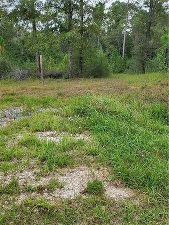1.49 Acres of Residential Land for Sale in Chunchula, Alabama