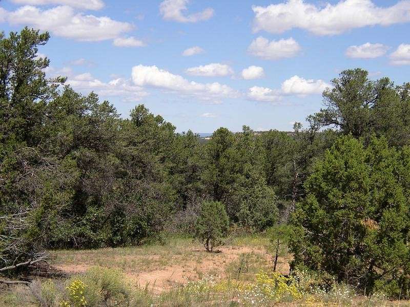 11.2 Acres of Recreational Land & Farm for Sale in Ramah, New Mexico