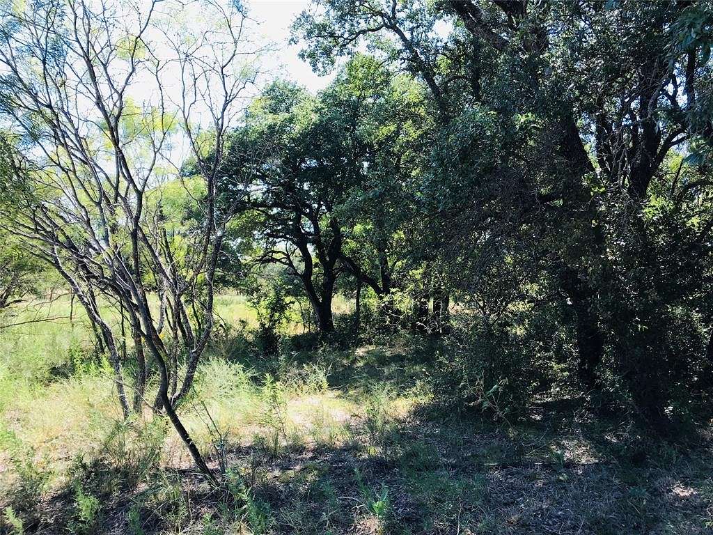 432 Acres of Agricultural Land for Sale in Rising Star, Texas