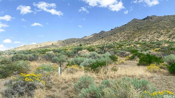 146 Acres of Agricultural Land for Sale in Reno, Nevada
