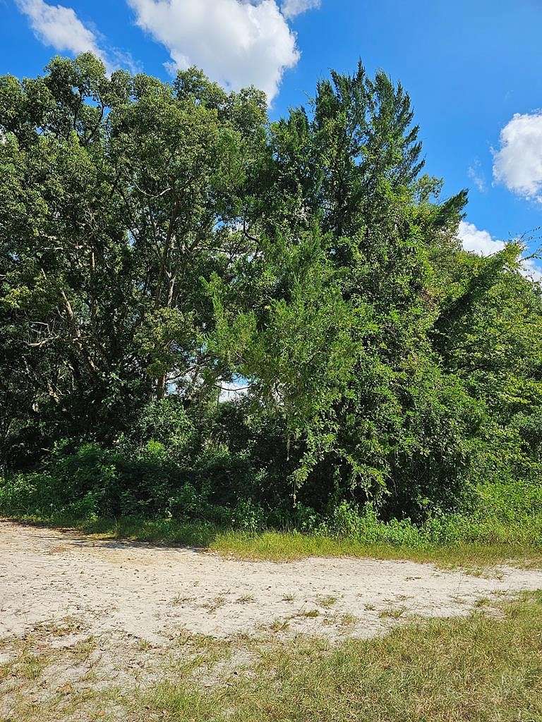 0.21 Acres of Land for Sale in Trenton, Florida