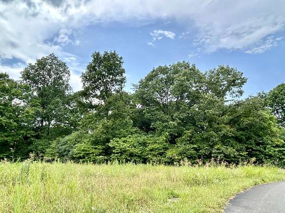 4.28 Acres of Residential Land for Sale in Ferguson, Kentucky