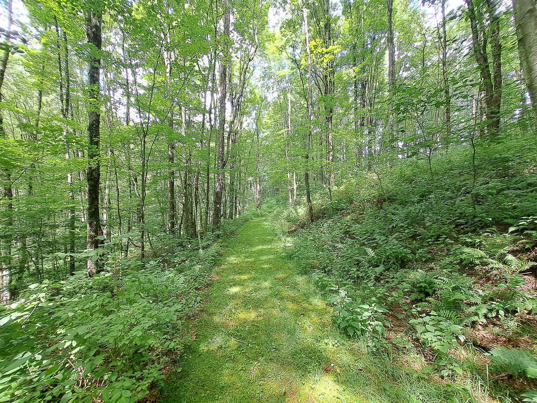 124 Acres of Recreational Land for Sale in Hoosick, New York