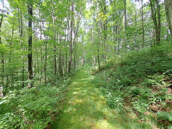 124 Acres of Recreational Land for Sale in Hoosick, New York