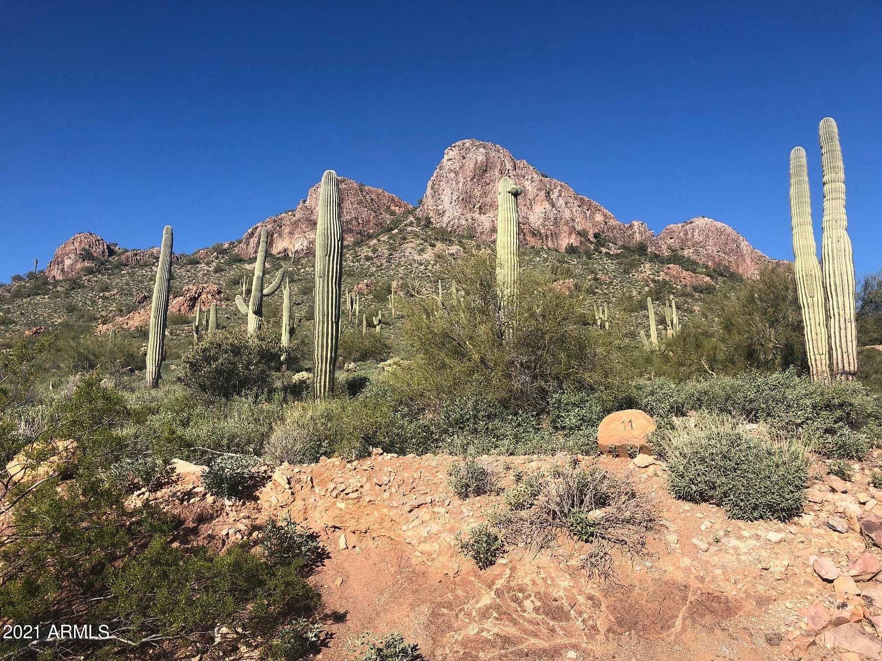 0.23 Acres of Residential Land for Sale in Gold Canyon, Arizona