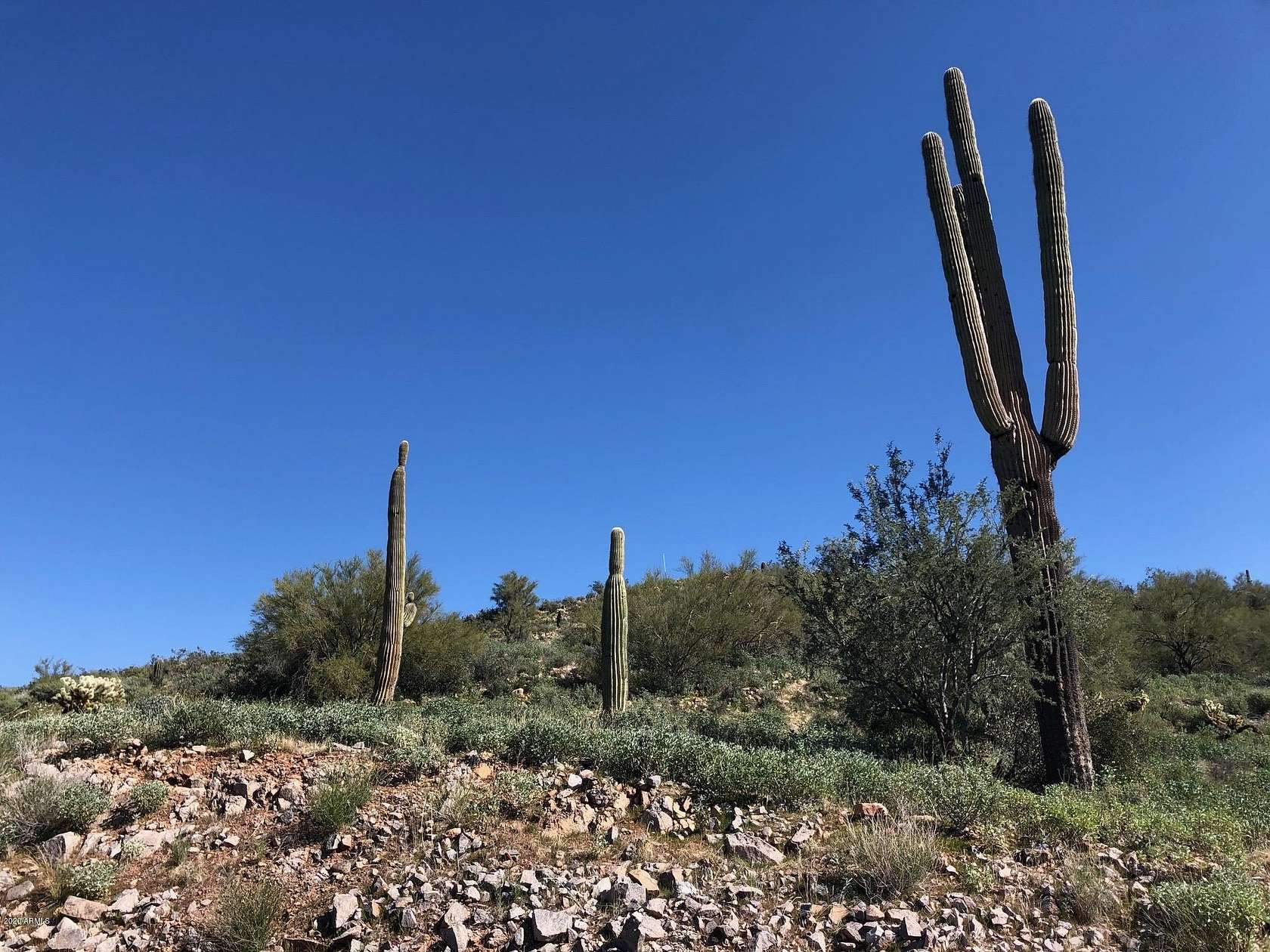 0.59 Acres of Residential Land for Sale in Gold Canyon, Arizona