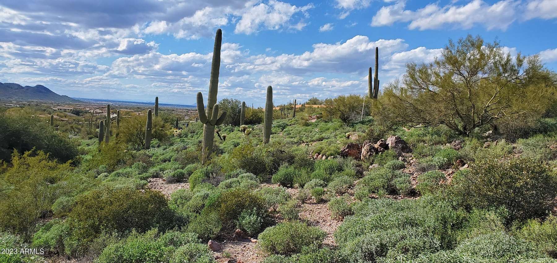 0.32 Acres of Land for Sale in Gold Canyon, Arizona