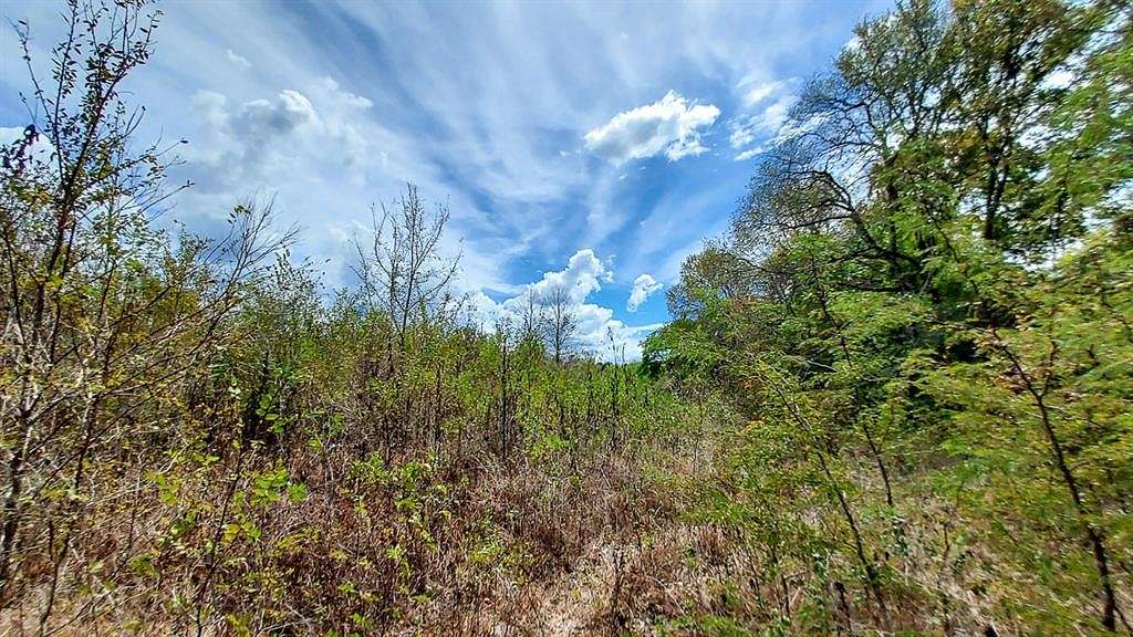 39.5 Acres of Recreational Land for Sale in Huntsville, Texas