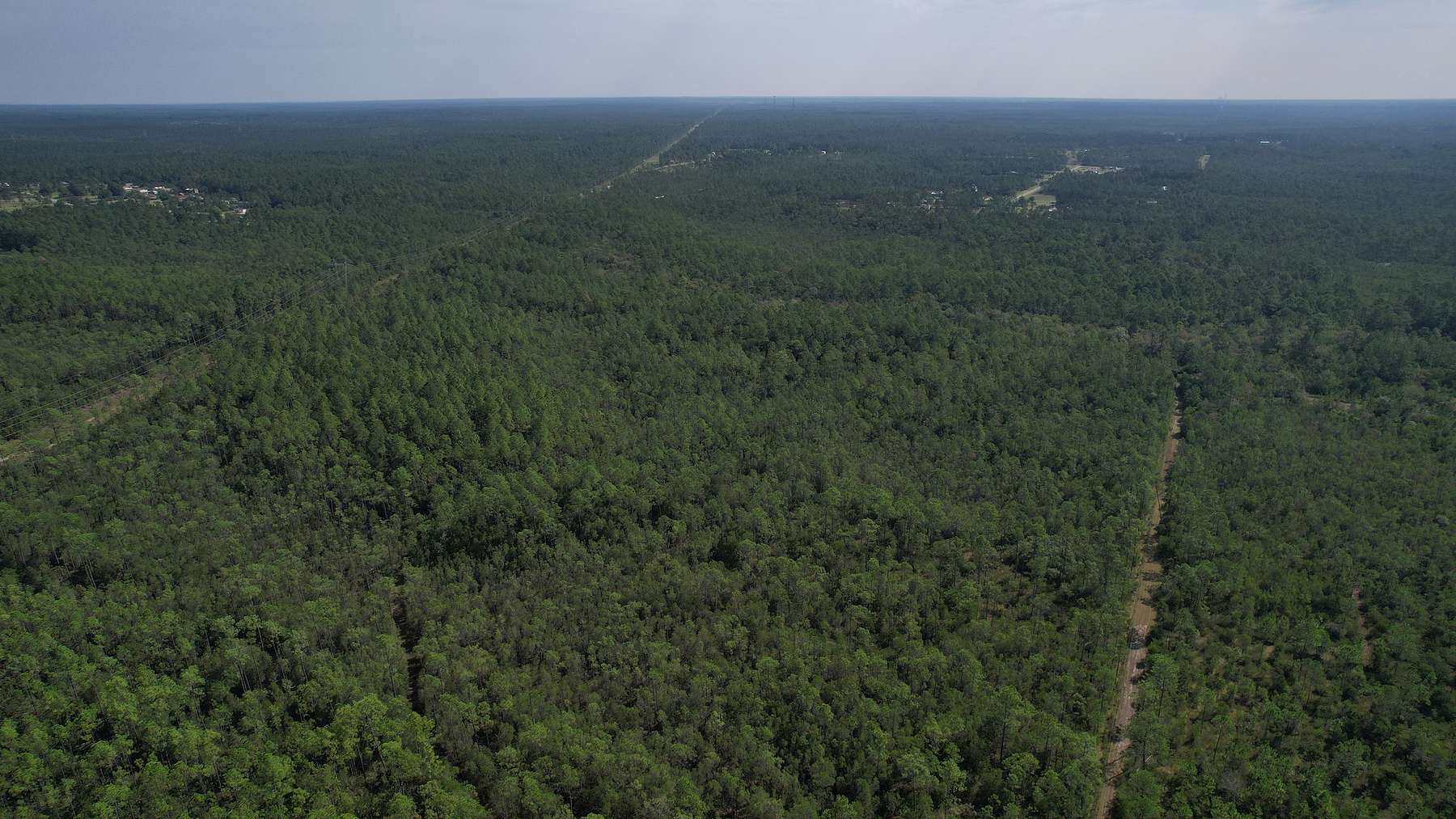 40 Acres of Land for Sale in Vancleave, Mississippi