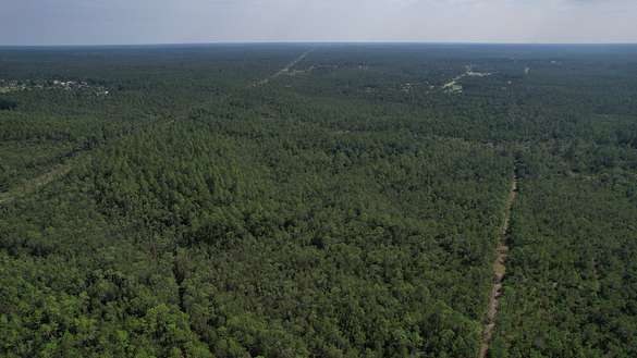 40 Acres of Land for Sale in Vancleave, Mississippi