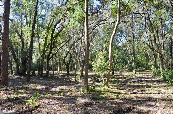 0.83 Acres of Residential Land for Sale in Orange City, Florida