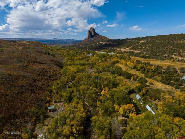 16 Acres of Improved Land for Sale in Crawford, Colorado