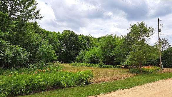 North half of lot, looking south east.