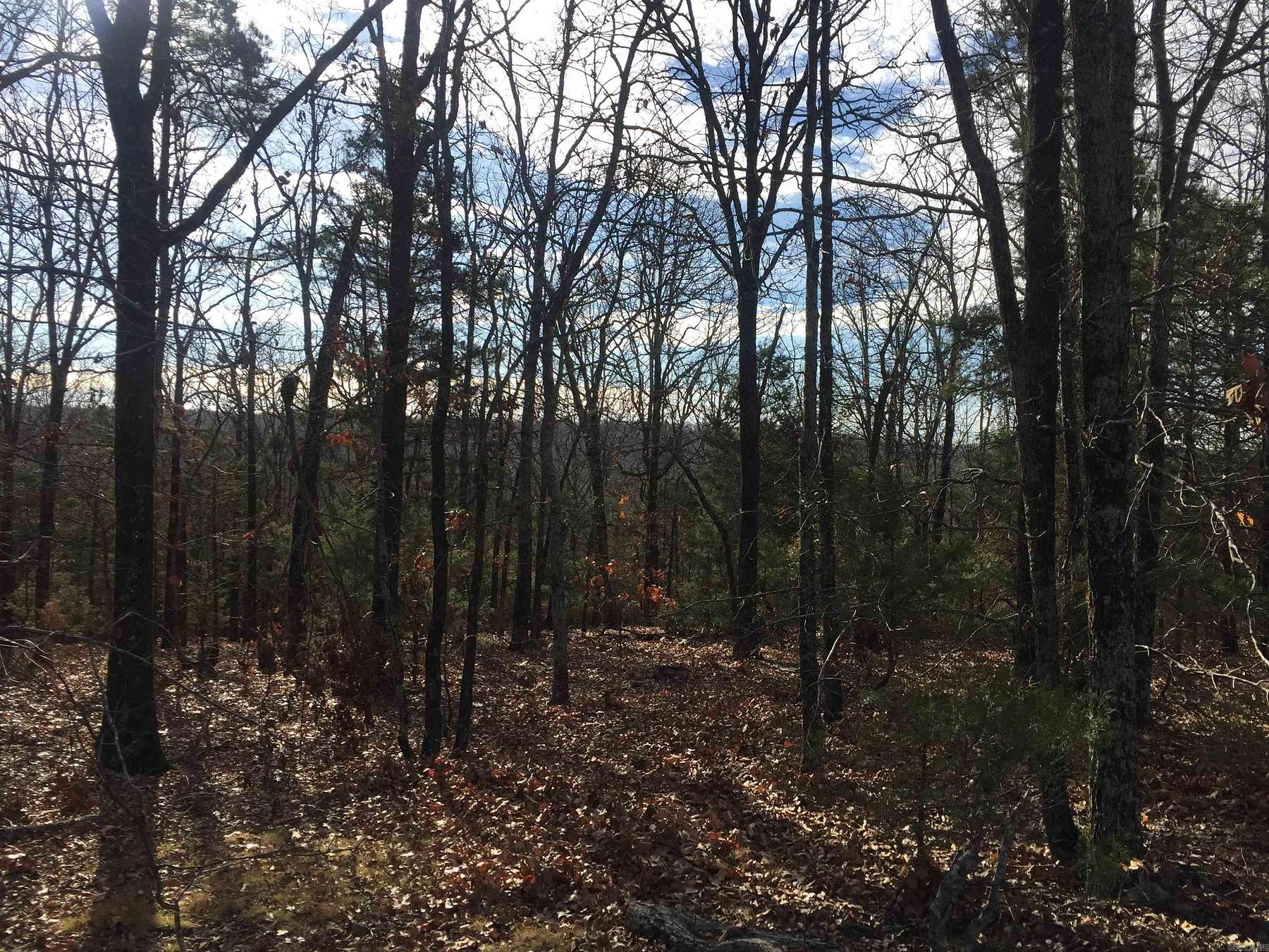 20 Acres of Land for Sale in Quitman, Arkansas