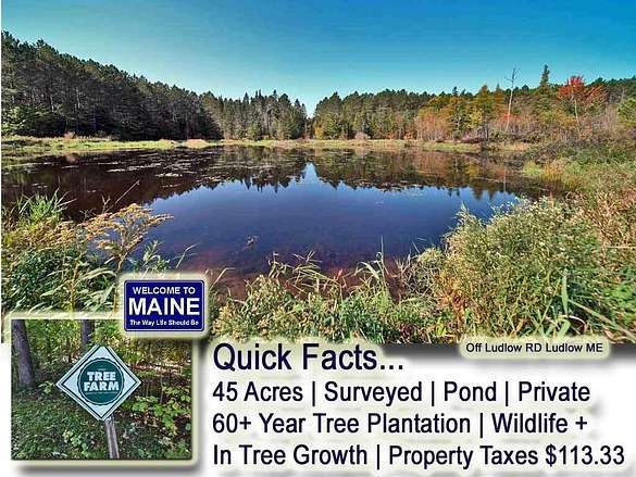 45 Acres of Land for Sale in Ludlow, Maine