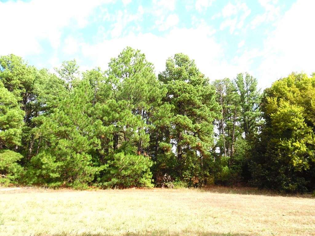 2.1 Acres of Residential Land for Sale in Athens, Texas