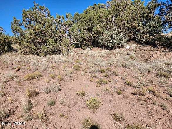 2.55 Acres of Residential Land for Sale in Show Low, Arizona