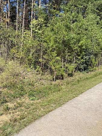 1 Acre of Land for Sale in Bronston, Kentucky