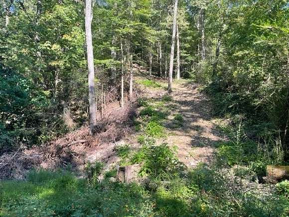 4.4 Acres of Residential Land for Sale in Newport, Tennessee