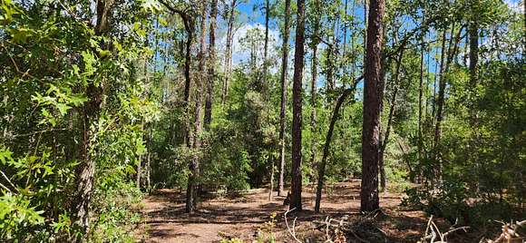 1.29 Acres of Residential Land for Sale in Dunnellon, Florida