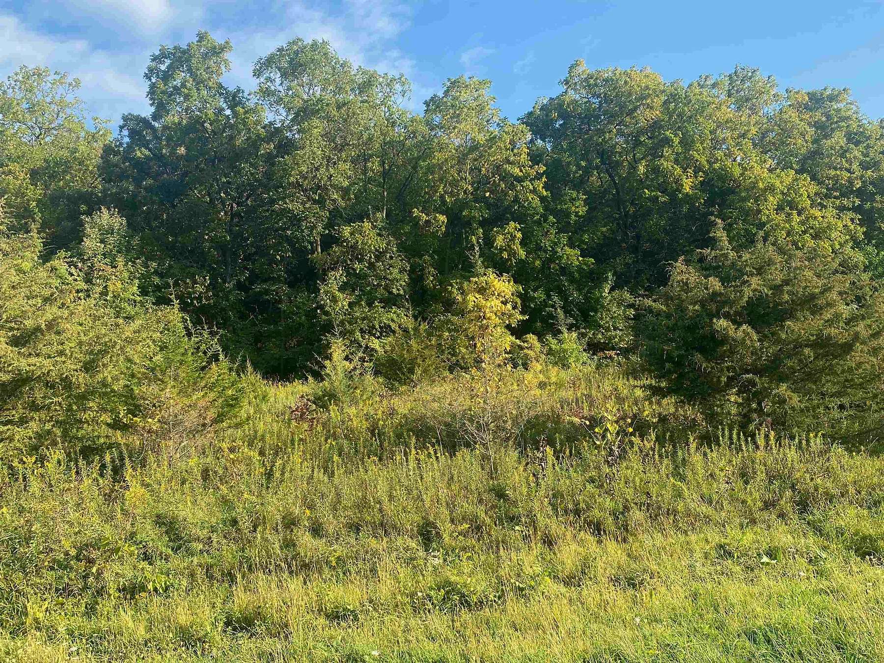 0.99 Acres of Land for Sale in Galena, Illinois