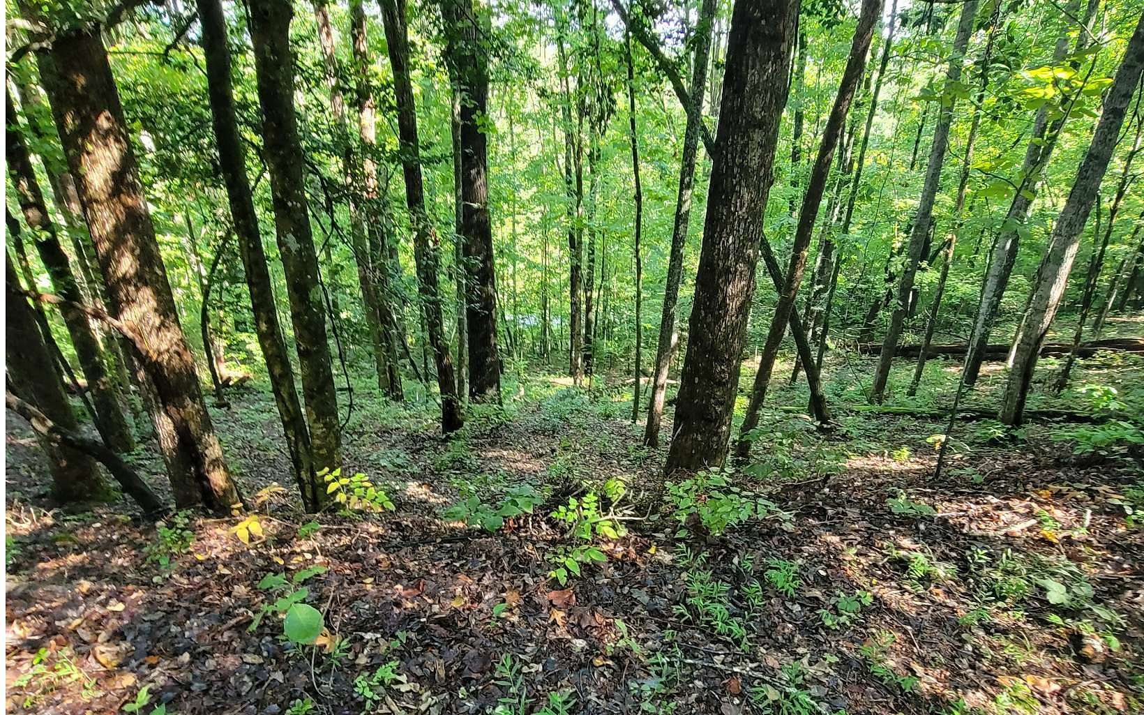 0.46 Acres of Residential Land for Sale in Hayesville, North Carolina