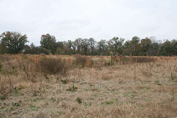 30.5 Acres of Recreational Land for Sale in Parkdale, Arkansas