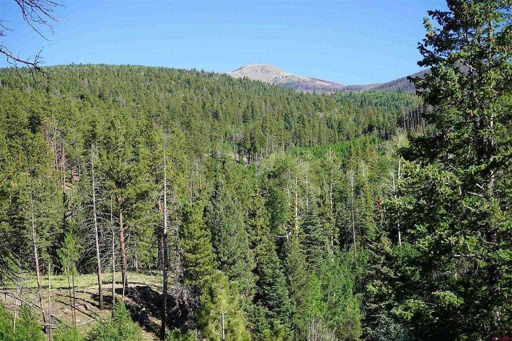 7.3 Acres of Residential Land for Sale in South Fork, Colorado