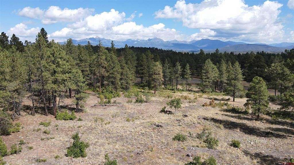 10 Acres of Residential Land for Sale in Pagosa Springs, Colorado