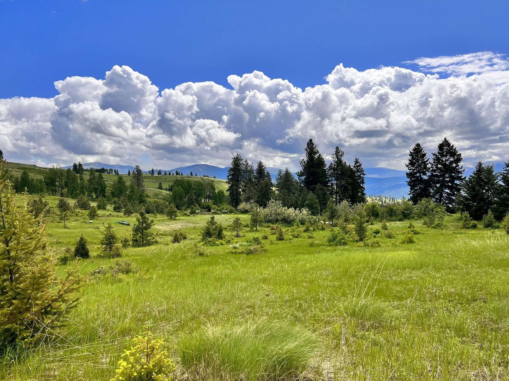 11.8 Acres of Land for Sale in Curlew, Washington