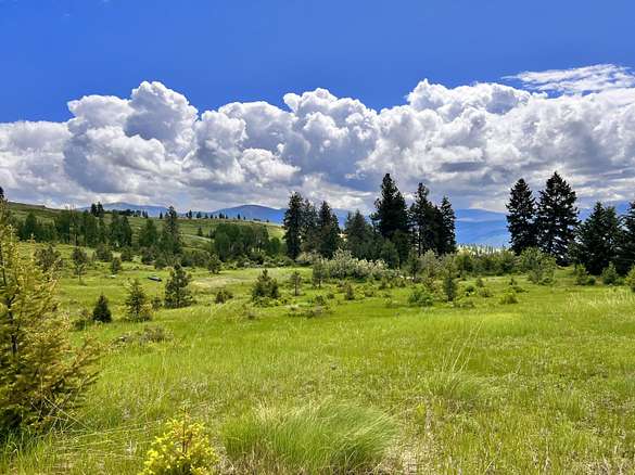 11.8 Acres of Land for Sale in Curlew, Washington